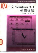 中文Windows 3.1使用详解