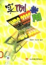 实例学用WPS 2000