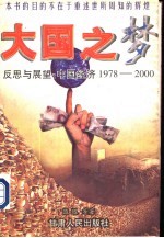 大国之梦 反思与展望:中国经济1978-2000