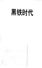 黑铁时代 王小波早期作品及未竟稿集