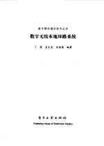 数字无线本地环路系统