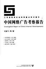 中国网络广告考察报告