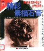精彩素描石膏