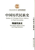 中国历代民族史 隋唐民族史
