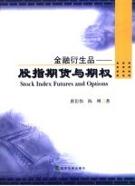 金融衍生品:股指期货与期权