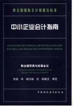 中小企业会计指南 中英文本