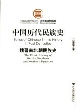 中国历代民族史 魏晋南北朝民族史