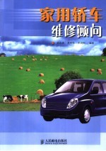 家用轿车维修顾问