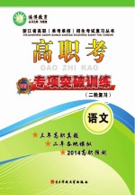 高职考专项突破训练 语文