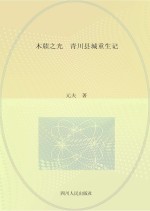 木牍之光 青川县城重生记