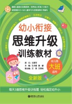 幼小衔接思维升级训练教材 大班 全新版