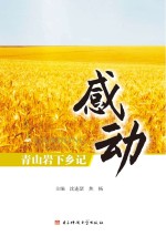 感动 青山岩下乡记