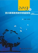 2013年四川高等教育教学质量报告 本科