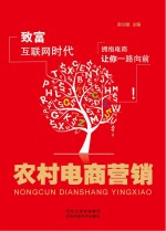 农村电商营销