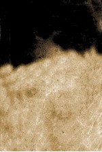 世界文学名著百部 巴黎圣母院