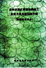 贵州省磷矿资源和磷化工发展方向及途径的予测(情报调研报告)