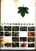 大气污染伤害植物症状图谱
