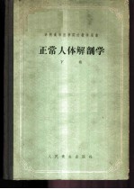正常人体解剖学 下