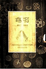 笔石