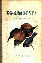 农业益鸟的保护与招引