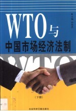 WTO与中国市场经济法制 下