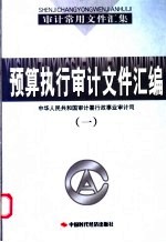 预算执行审计文件汇编 (1)