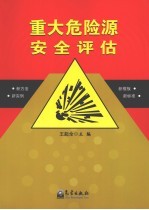 重大危险源安全评估 新方法·新实例·新模板·新标准