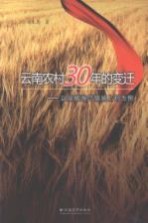云南农村30年的变迁 以宣威海岱镇坡上村为例