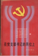 在党支部书记的岗位上