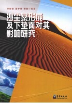 沙尘暴形成及下垫面对其影响研究