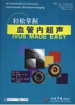 轻松掌握血管内超声
