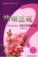 热带兰花养花专家解惑答疑