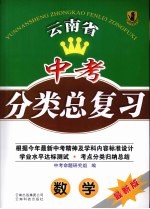 云南省中考分类总复习 数学