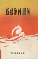 婚姻案件100例