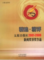 太原日报社2001-2008新闻奖获奖作品精选·精评