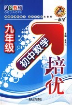 初中数学培优 九年级