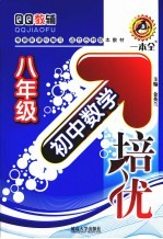 初中数学培优 八年级