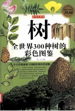 树 全世界300种树的彩色图鉴 超值白金版