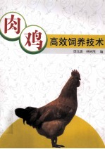 肉鸡高效饲养技术