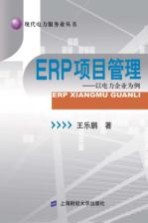 ERP项目管理 以电力企业为例