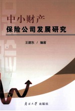 中小财产保险公司发展研究