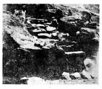 1950年的著作 15-23 吉林西团山古墓之发掘