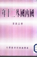 国内国外二十年
