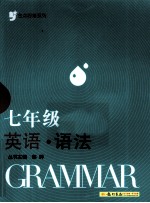 金点思维系列 七年级英语语法