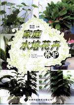 家庭水培花卉养护