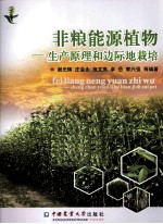 非粮能源植物 生产原理和边际地栽培