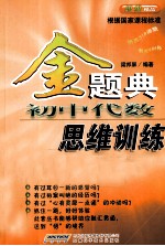 金题典 初中代数思维训练