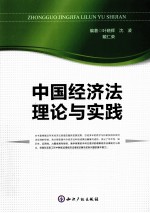 中国经济法理论与实践