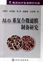 AI2O3系复合微滤膜制备研究