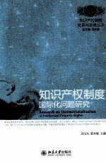 知识产权制度国际化问题研究